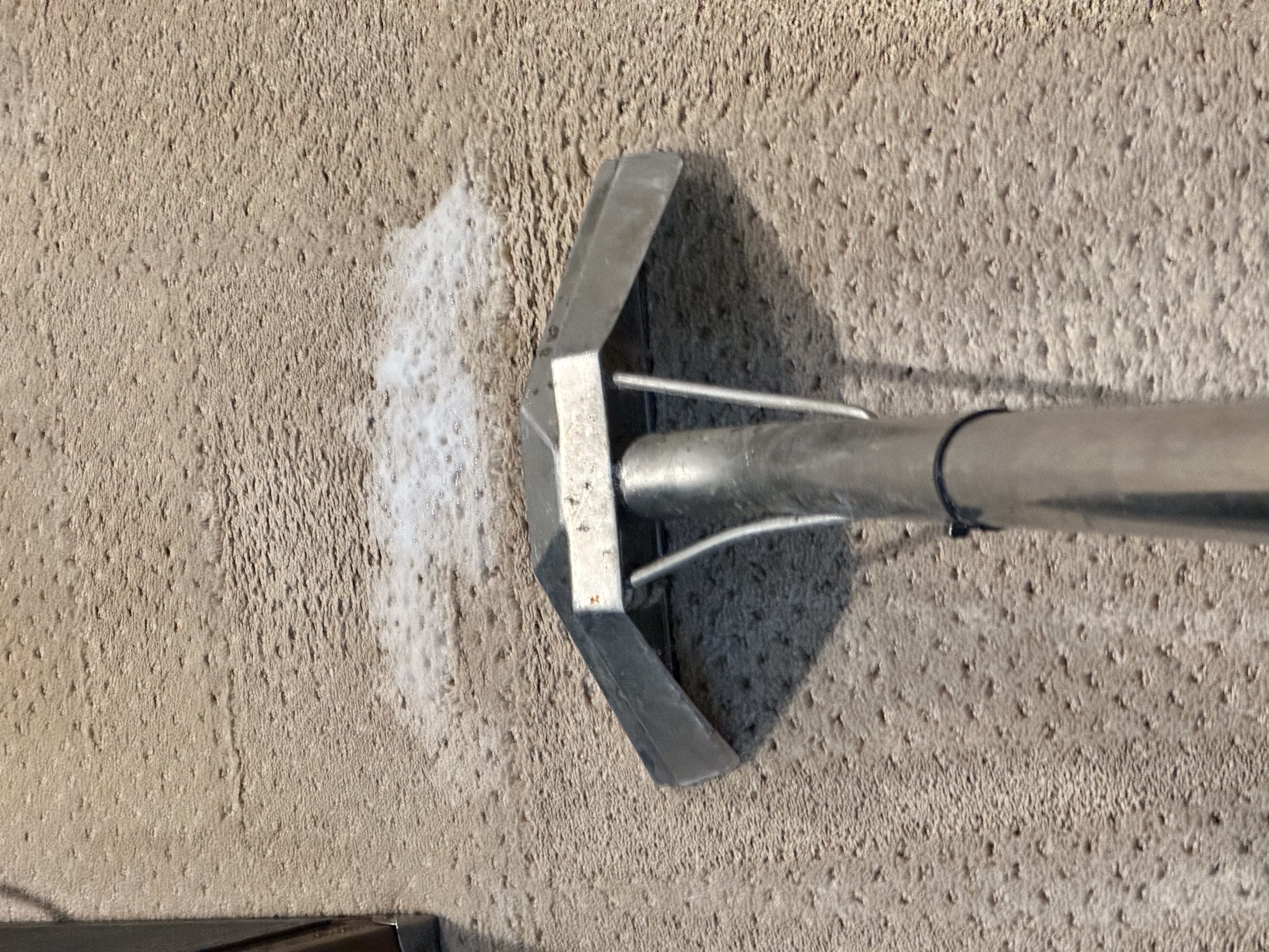 carpet cleaning laguna elk grove